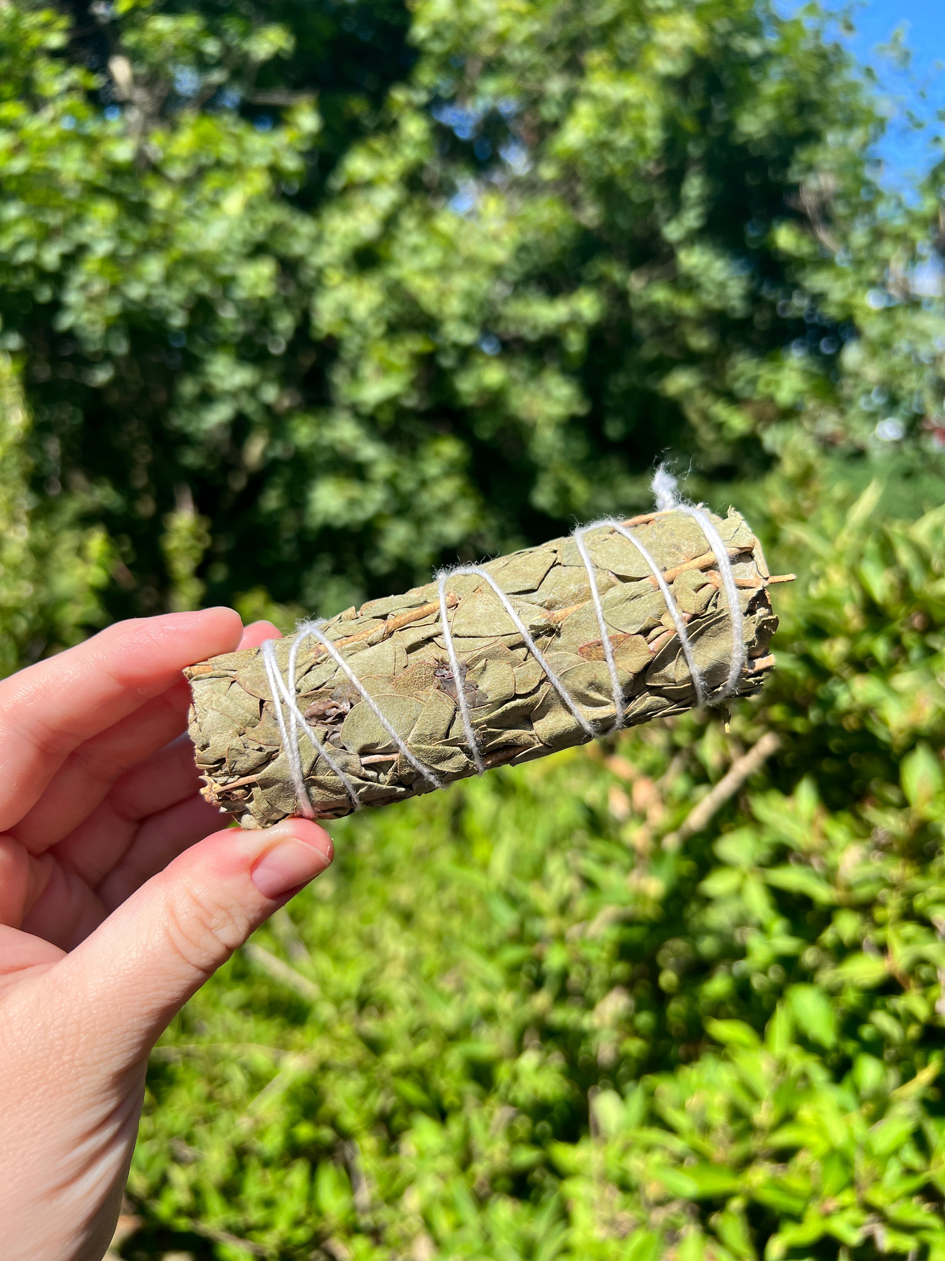 Eucalyptus Smoke Cleansing Bundle