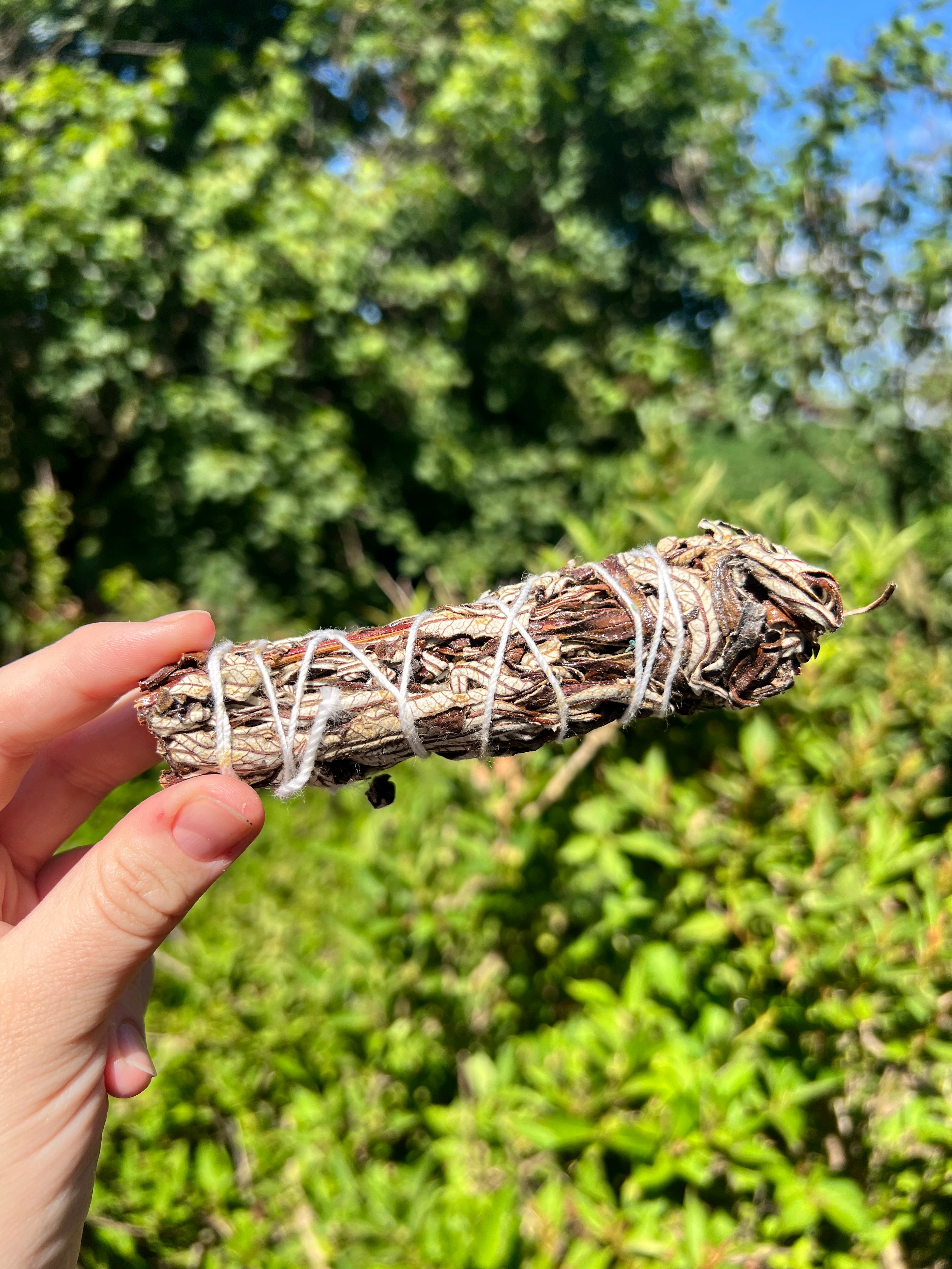 Yerba Santa Smoke Cleansing Bundle