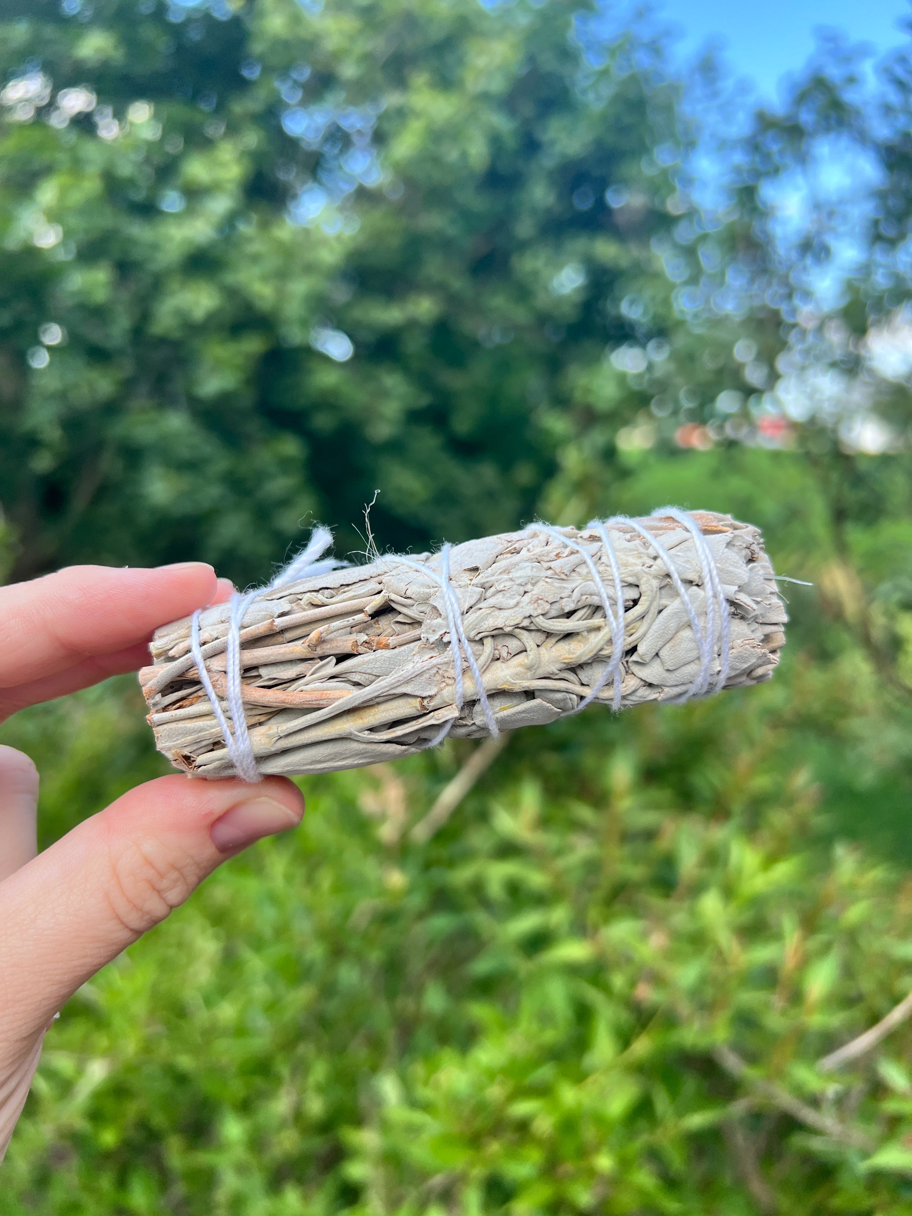 White Sage Smoke Cleansing Bundle
