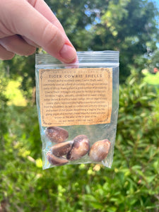 Tiger Cowrie Shells
