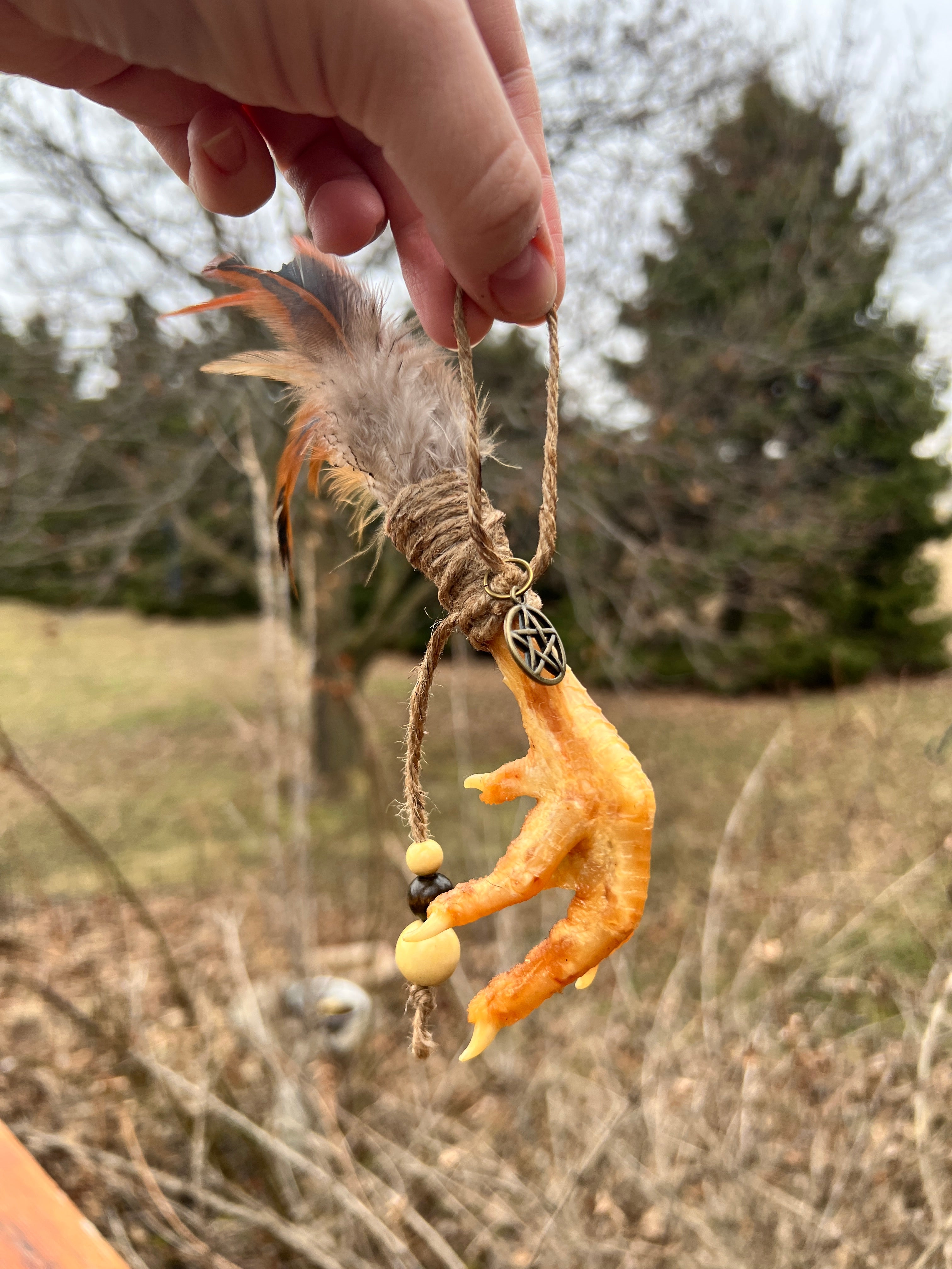 Chicken Foot Amulet